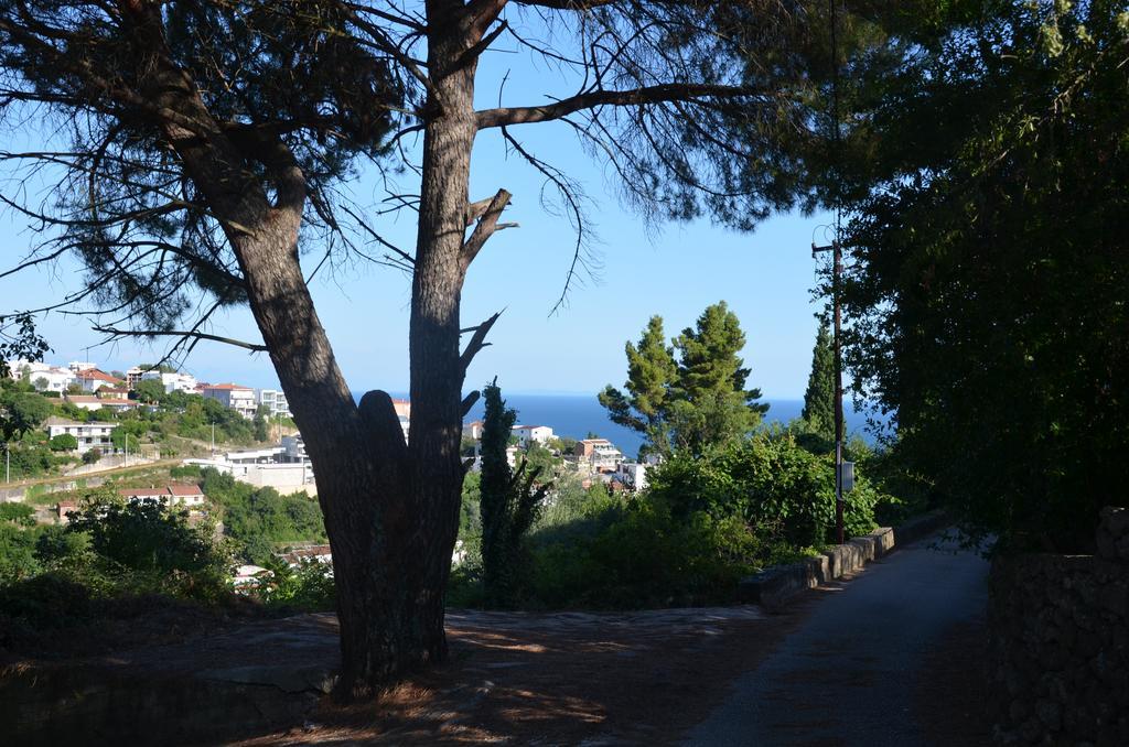 Apartment Dragovic Ulcinj Luaran gambar