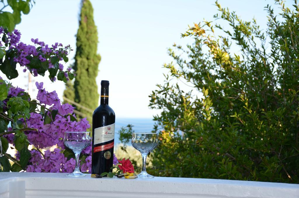 Apartment Dragovic Ulcinj Luaran gambar